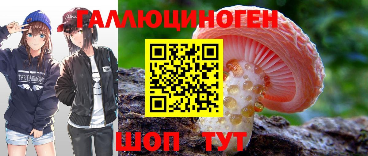 Галлюциногенные грибы Cubensis Ейск